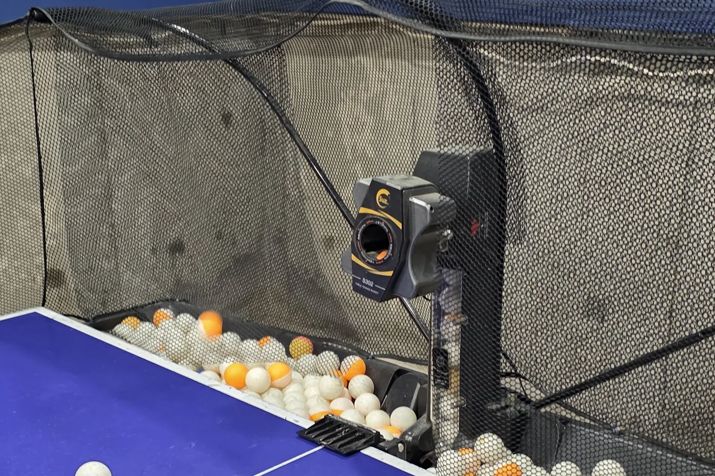 Table tennis robot and ball collection net ready for practice