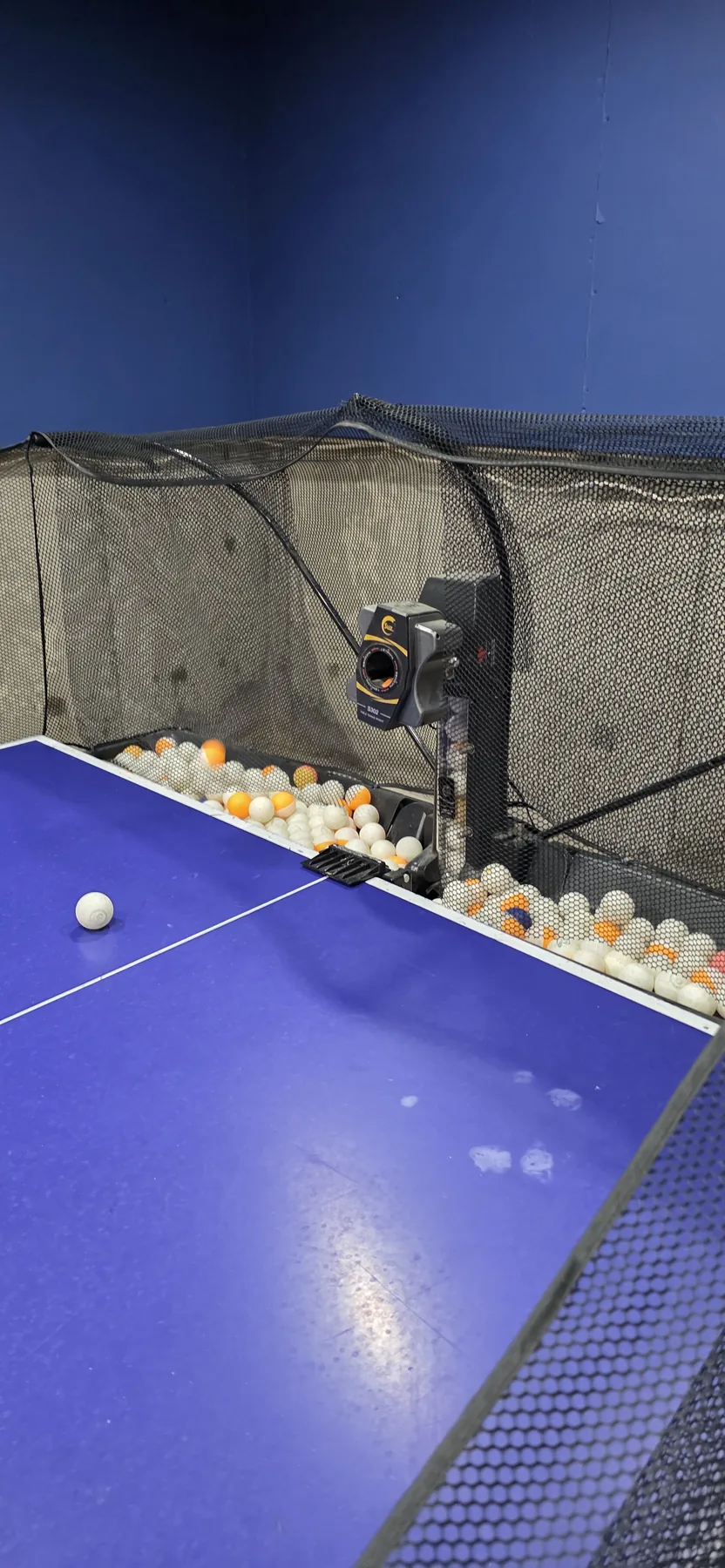 Robot training setup with table tennis balls and collection net